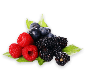 Fresh Berries