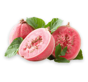 Guava Fruit